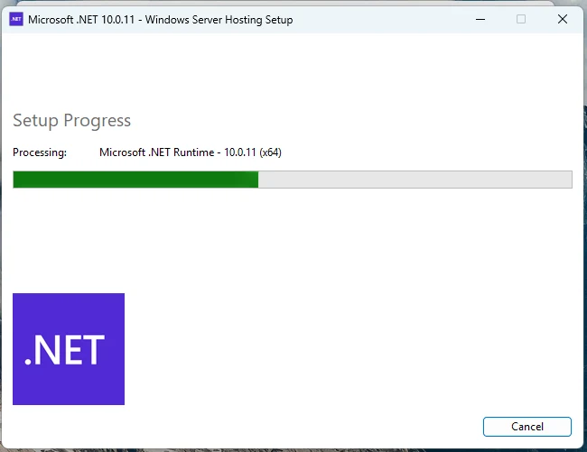 .NET Hosting kurulum ilerlemesi